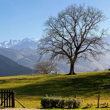 La Montana Magica Hotel Rural Vibano Екстер'єр фото