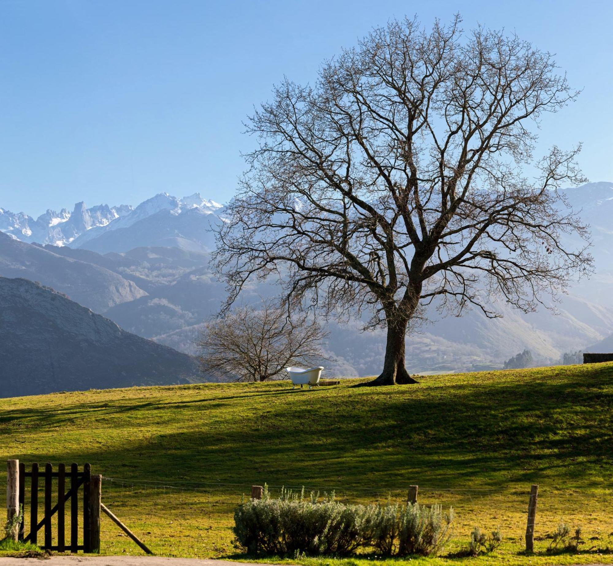 La Montana Magica Hotel Rural Vibano Екстер'єр фото